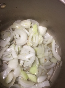 onions copy